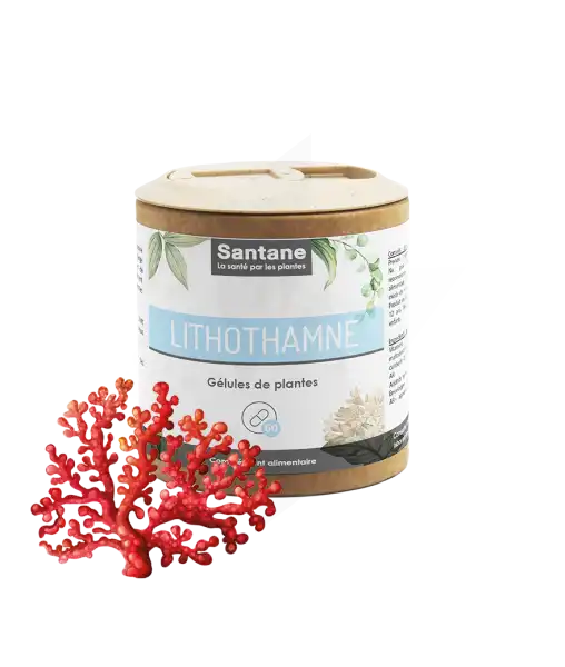 Santane Lithothamne Gélules De Poudre De Plantes 420mg B/60