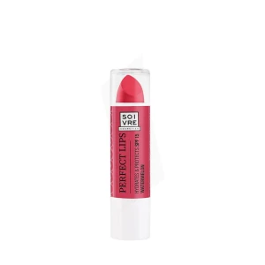 Lcdt Perfect Lips 3,5g Pasteque