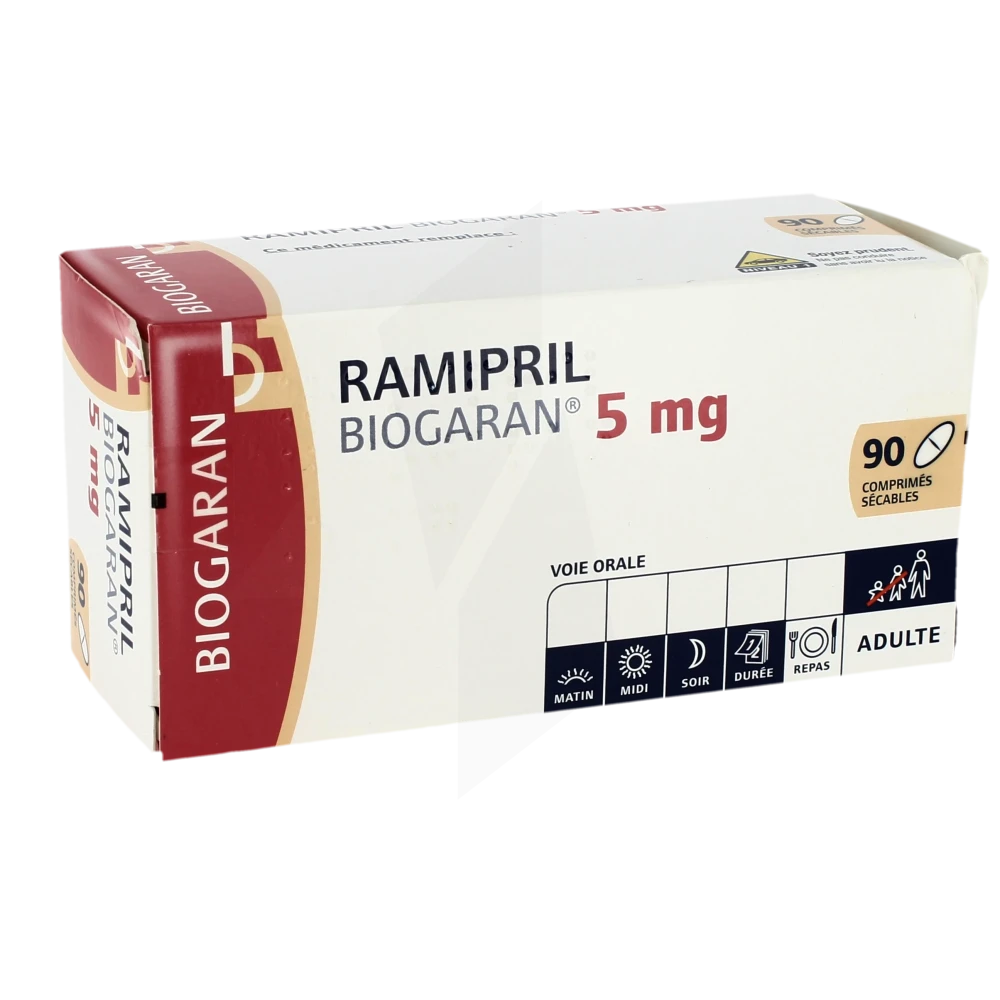 Ramipril Biogaran 5 Mg, Comprimé Sécable