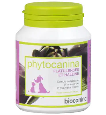 Phytocanina Cpr Flatulence Et Haleine Pilulier/40 à Seysses