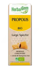 Herbalgem Propolis Large Spectre Solution Buvable Bio Fl Cpte-gttes/15ml à PEYNIER