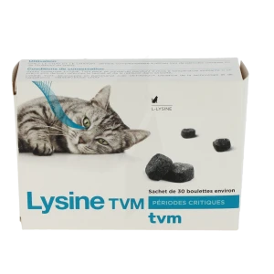 Lysine Tvm Boulette B/30
