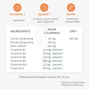 Mium Lab Energie Gummies Sans Sucre Pot/42