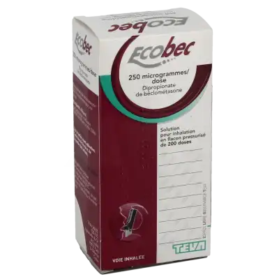 Ecobec 250 Microgrammes/dose, Solution Pour Inhalation En Flacon Pressurisé à FLEURANCE