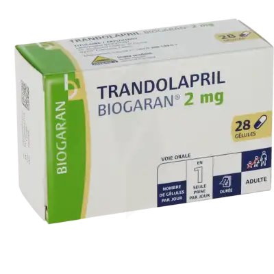TRANDOLAPRIL BIOGARAN 2 mg, gélule