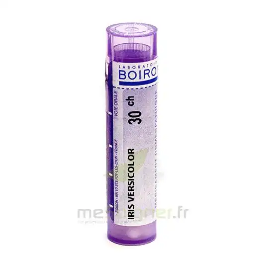 Boiron Iris Versicolor 30ch Granules Tube De 4g