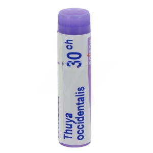 Boiron Thuya Occidentalis 30ch Globules Dose De 1g