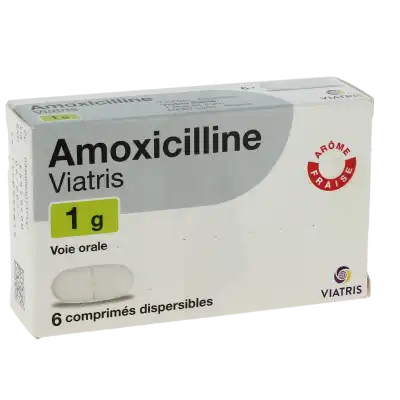 Amoxicilline Viatris 1 G, Comprimé Dispersible à CHAMPAGNOLE