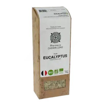L'herbothicaire Eucalyptus Bio Tisane B/70g à Mérignac