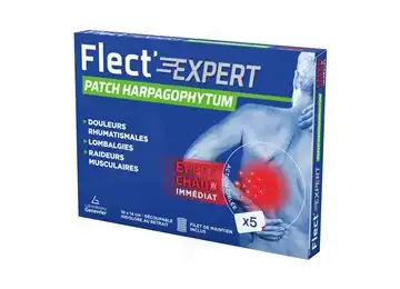 Flect'expert Patch Harpagophytum B/5 à Montreuil