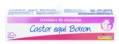 Boiron Castor Equi Tm 4% Pommade T/20g à Chalon-sur-Saône