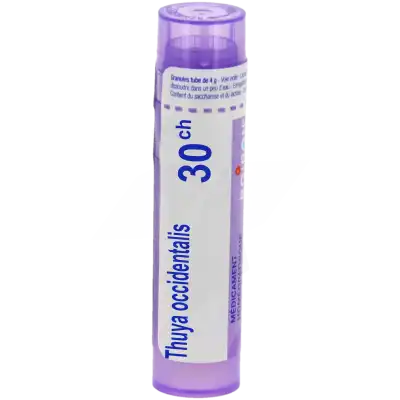 Thuya Occidentalis 30ch Granules à ALES