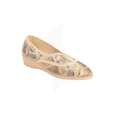 Br 3102 Lezard Beige Pointure 40 (br3102) à LORMONT