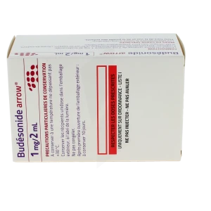 Budesonide Arrow 1 Mg/2 Ml, Suspension Pour Inhalation Par Nébuliseur En Récipient Unidose