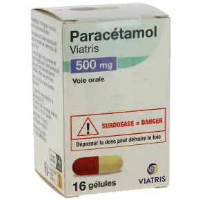 Paracetamol Viatris 500 Mg, Gélule à Labastide-Saint-Sernin
