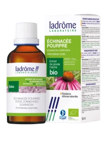 Ladrôme Extrait De Plante Echicée Pourpre Plante Entière Fleurie 50ml