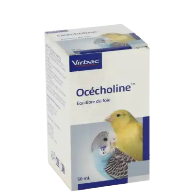 Ocecholine Sol Buv Fl/50ml à CAYENNE