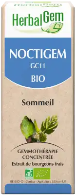 Herbalgem Noctigem Bio 30 Ml à LE-TOUVET