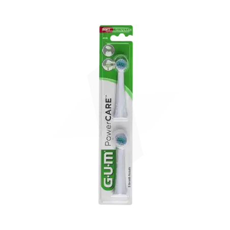 Gum Power Care 4200 Recharge