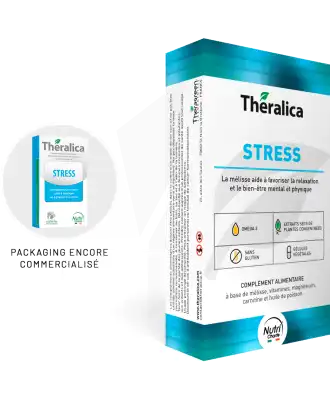 Théralica Stress Gélules B/45 à VILLEFONTAINE