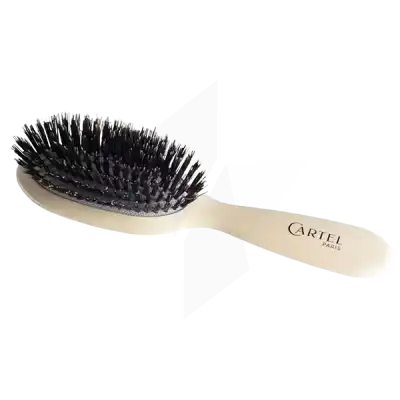 Vitry Cartel Brosse à Cheveux Brillance Beige Petite à GUJAN-MESTRAS