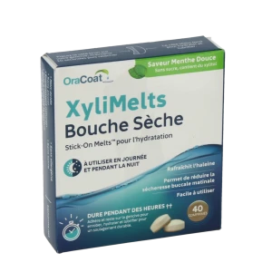 Xylimelts Past Adhésive Menthe Douce B/40