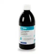 Eps Orthosiphon Extrait Fluide Fl/500ml à CERNAY