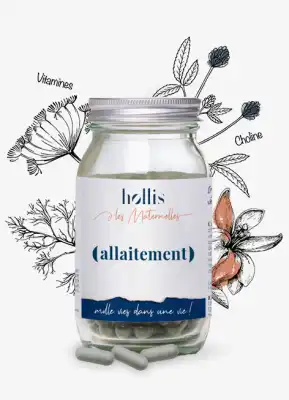 Hollis Les Maternelles Allaitement Gélules B/90 à LA CRAU
