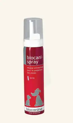 Biocanispray Mousse Aéros/75ml à MIRAMONT-DE-GUYENNE