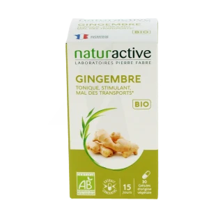 Naturactive Phytotherapie Gingembre Bio Gélules B/30