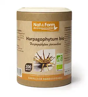 Nat&form Eco Responsable Harpagophytum Bio Gélules B/90 à LUSSAC