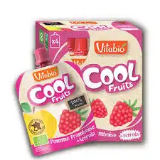 Vitabio Cool Fruits Compote Pomme Framboise Gourde/90g à OULLINS