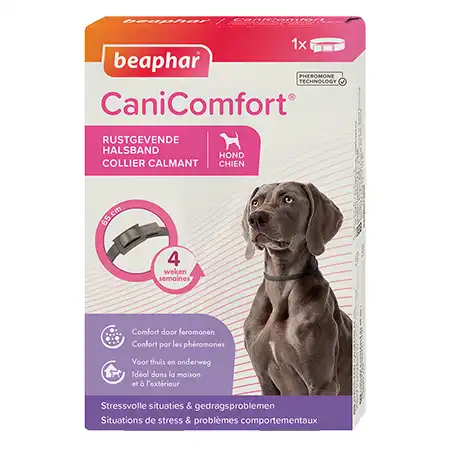 Beaphar Canicomfort Collier Calmant Aux Phéromones Pour Chiens 1 Collier