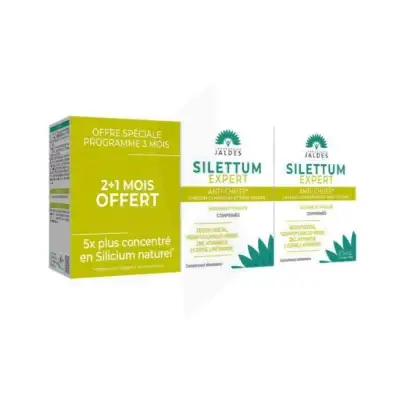 Silettum Anti Chute Cpr Bt180 Deref à Mérignac