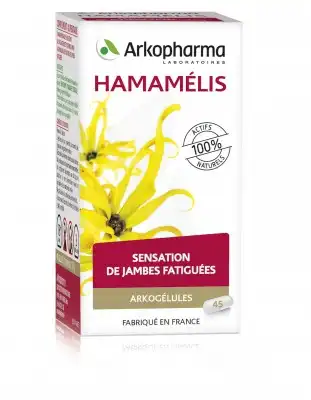 Arkogélules Hamamélis Gélules Fl/45 à Saintes
