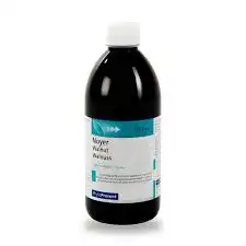 Eps Phytostandard Noyer Extrait Fluide Fl/500ml