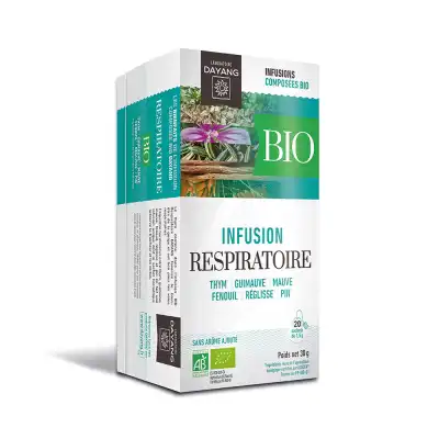 Dayang Respiratoire Bio 20 Infusettes à BOURBON-LANCY