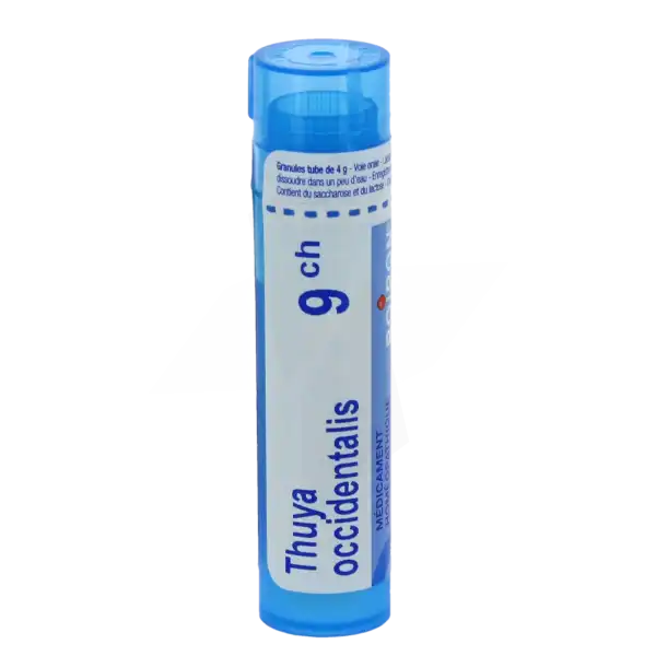 Boiron Thuya Occidentalis 9ch Granules Tube De 4g
