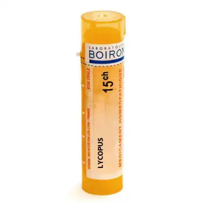 Boiron Lycopus 15ch Granules Tube De 4g à VILLENEUVE-LOUBET