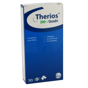 Therios 300 Mg Quadri Comprimes Pour Chien, Comprimé