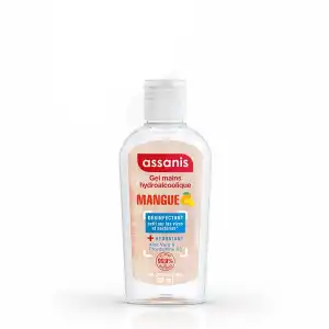 Assanis Pocket Gel Hydroalcoolique Mangue Fl/80ml à Blaye