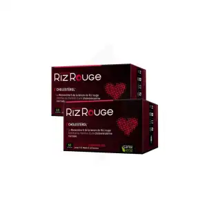 Santé Verte Levure De Riz Rouge Comprimés 2b/60 à Annemasse