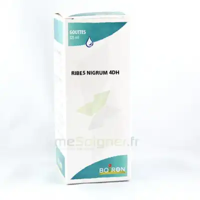 Ribes Nigrum 4dh Flacon 125ml à VITRE