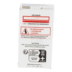 Beclometasone Teva 50 Microgrammes/dose, Solution Pour Inhalation En Flacon Pressurisé
