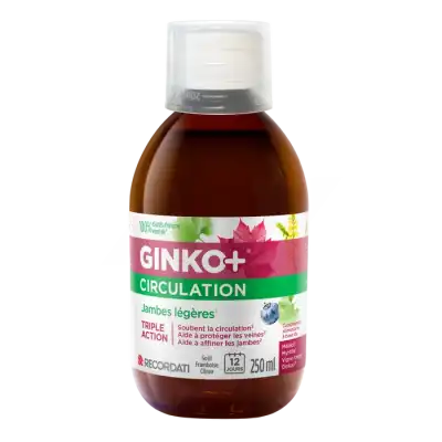 Ginko+ Circulation S Buv Fl/250ml à Égletons