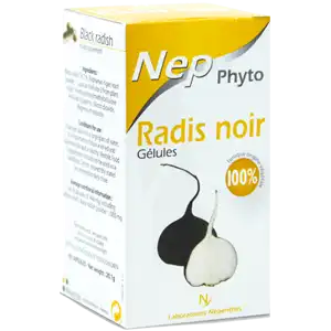 Radis Noir