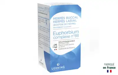 Euphorbium Complexe N°88, Solution Buvable En Gouttes à Le Breuil