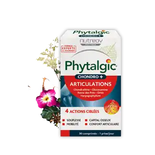 Phytalgic Chondro+ Comprimés 2*b/60 à SAINT-PRYVÉ-SAINT-MESMIN