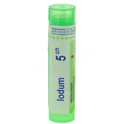 Boiron Iodum 5ch Granules Tube De 4g à DIJON