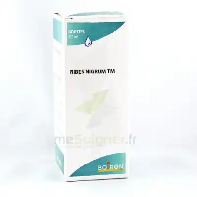 Ribes Nigrum Tm Flacon 125ml à Plaisir